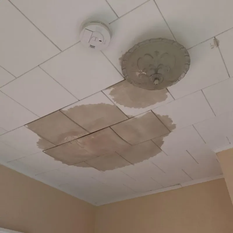 Ceiling Water Damage Repair in Sequoyah County, OK