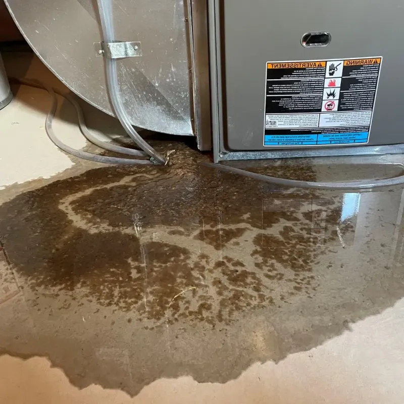 Pipe Burst and Leak Restoration in Sequoyah County, OK